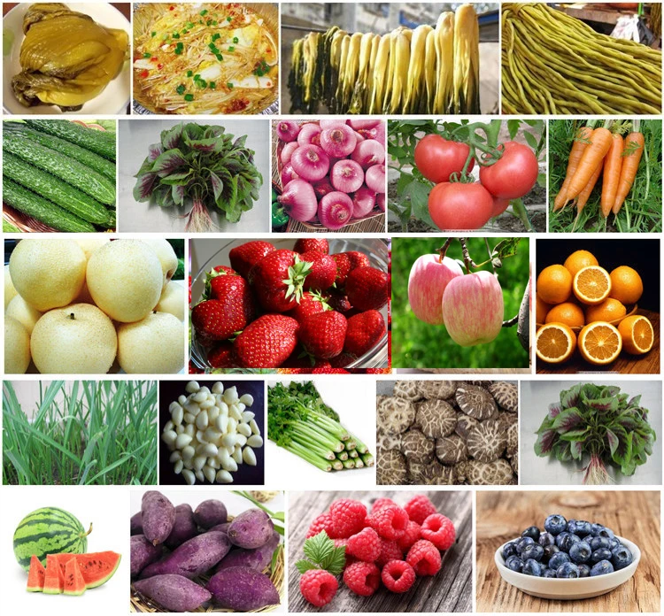 Vertical Hydraulic Industrial Cold Press Juicer Vegetable Juice Extracting Machine Grape Wine Hydraulic Press Machine