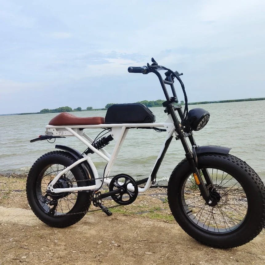 Electric Fat Tire Bike Retro Moped Style -4 Scout Yuanjian Ebike Pedal Assisted Vintage Electric Bikes