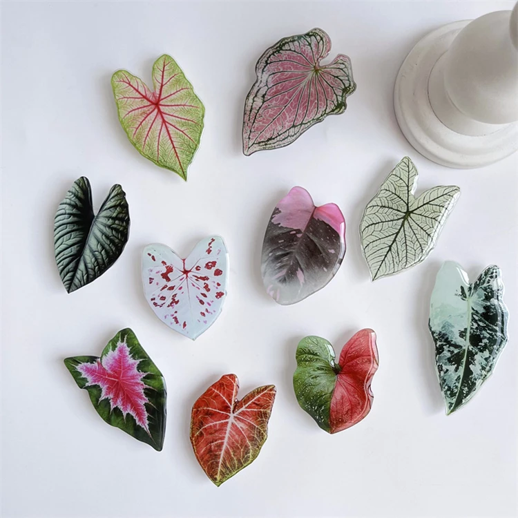 Popular Acrylic Phone Socket Griptok Foldable Eject Mobile Phone Holder Stand Customized Phone Grip With Plant Leaf Design