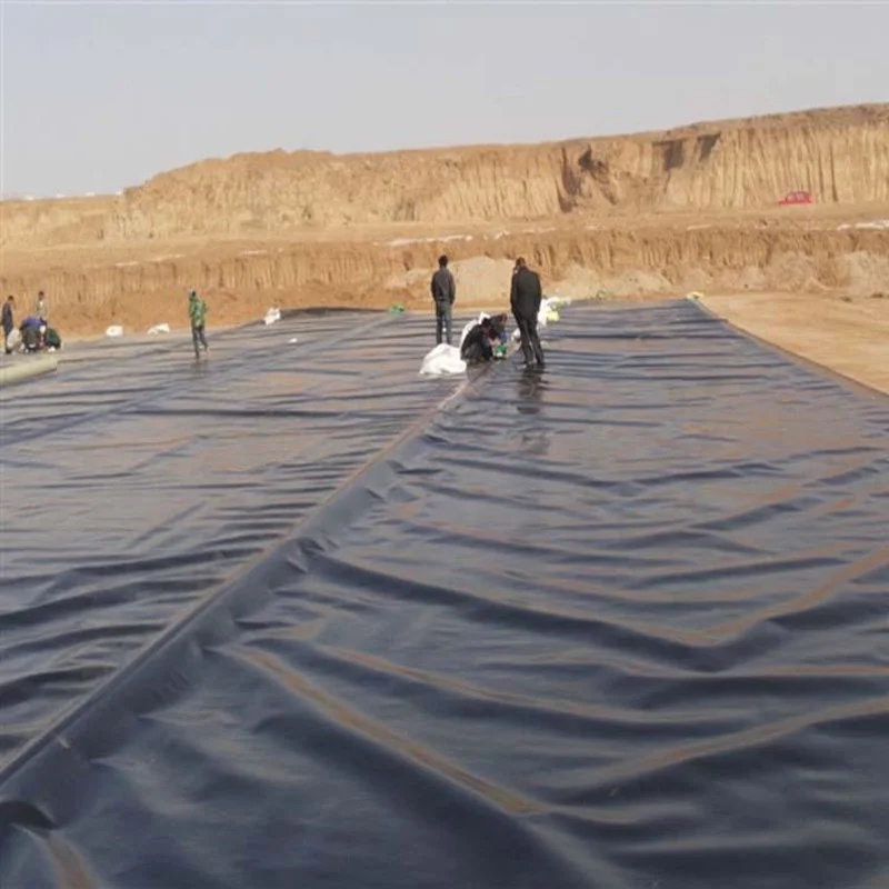 China Fish Farm Pond Liner HDPE Geomembrane Wholesale Price