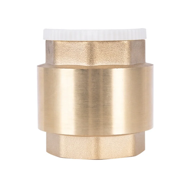 China Forged Body stainless steel Check Valve Spring Vertical one way brass check valve foot valve for pump