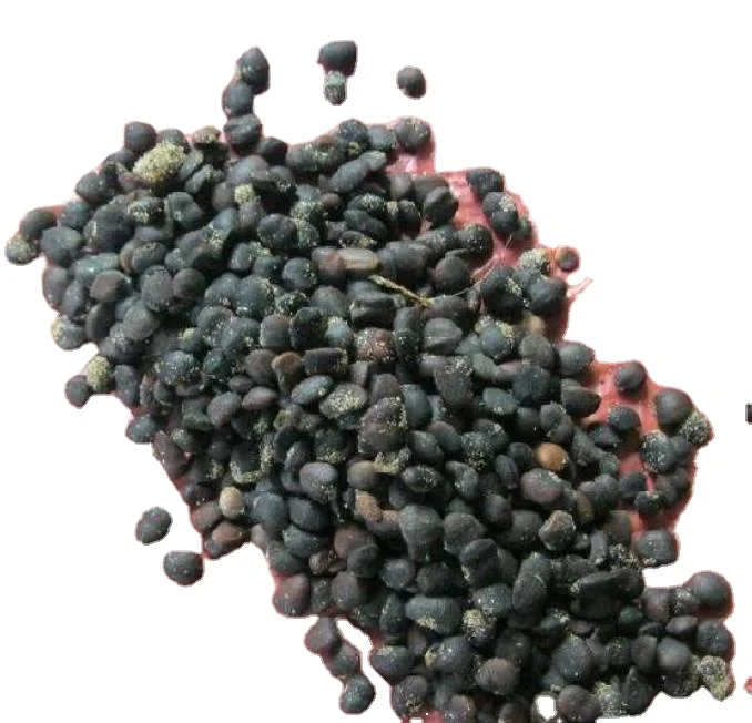 Высококачественные семена цветов магнолии liliflora для посадки