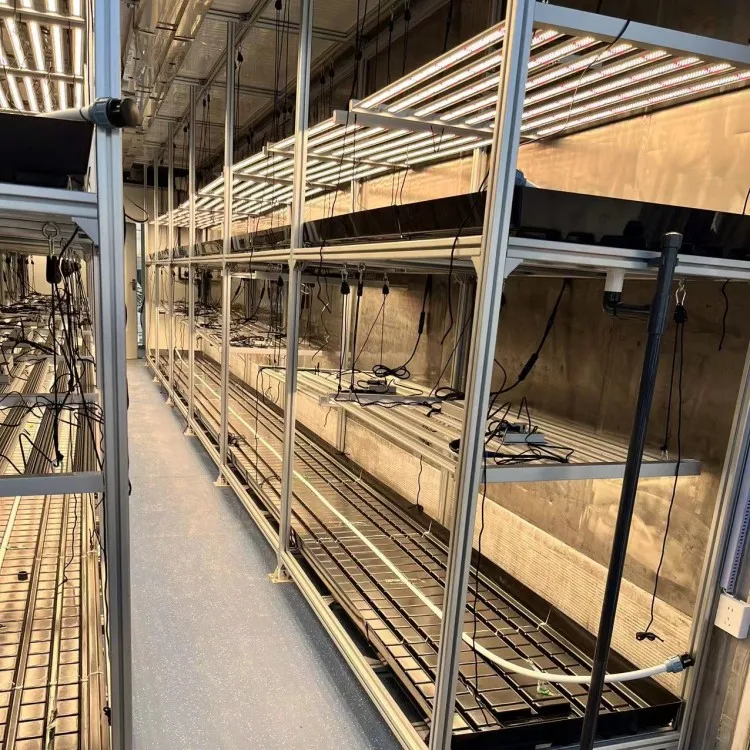 40ft Shipping Container Microgreens Container Hamp Vertical Hydroponic Farming Container