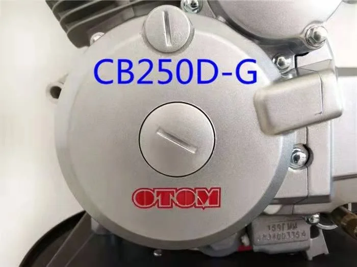 Zongshen CB250 engine cylinder assembly