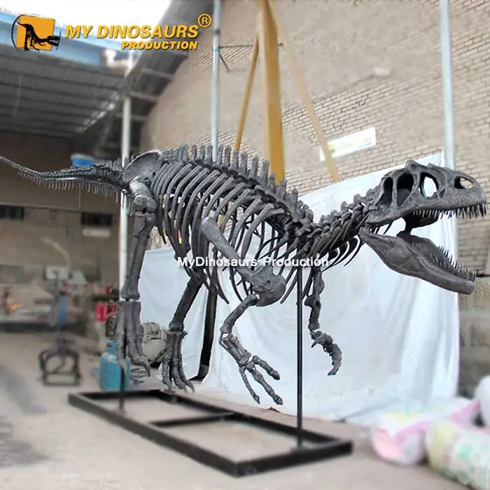 Allosaurus-skeleton-2