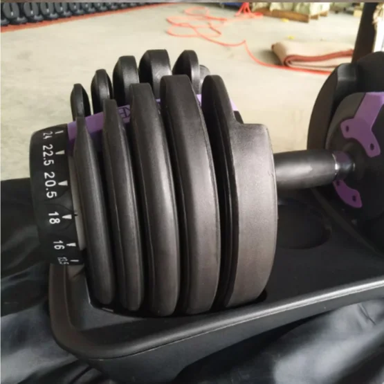 
Fitness Cast Iron 24kg Gym Quick Lock Adjustable Weights Dumbbell Set for Sale 