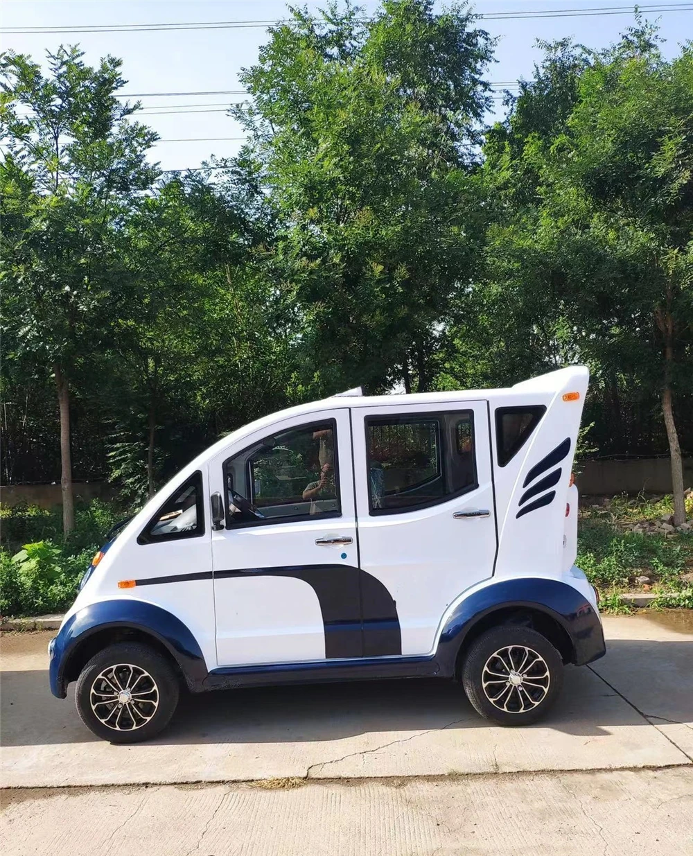 WELIFTRICH 4x4 6 seater electric golf cart Battery cruiser Patrol car with doors air conditioner