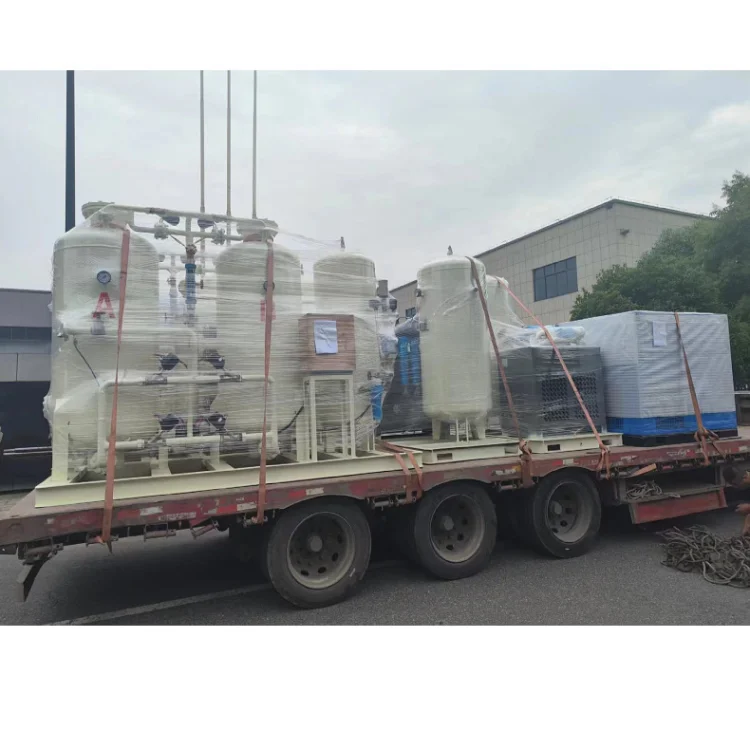 PSA Gas Generator Equipment Oxygen Nitrogen for Food protection