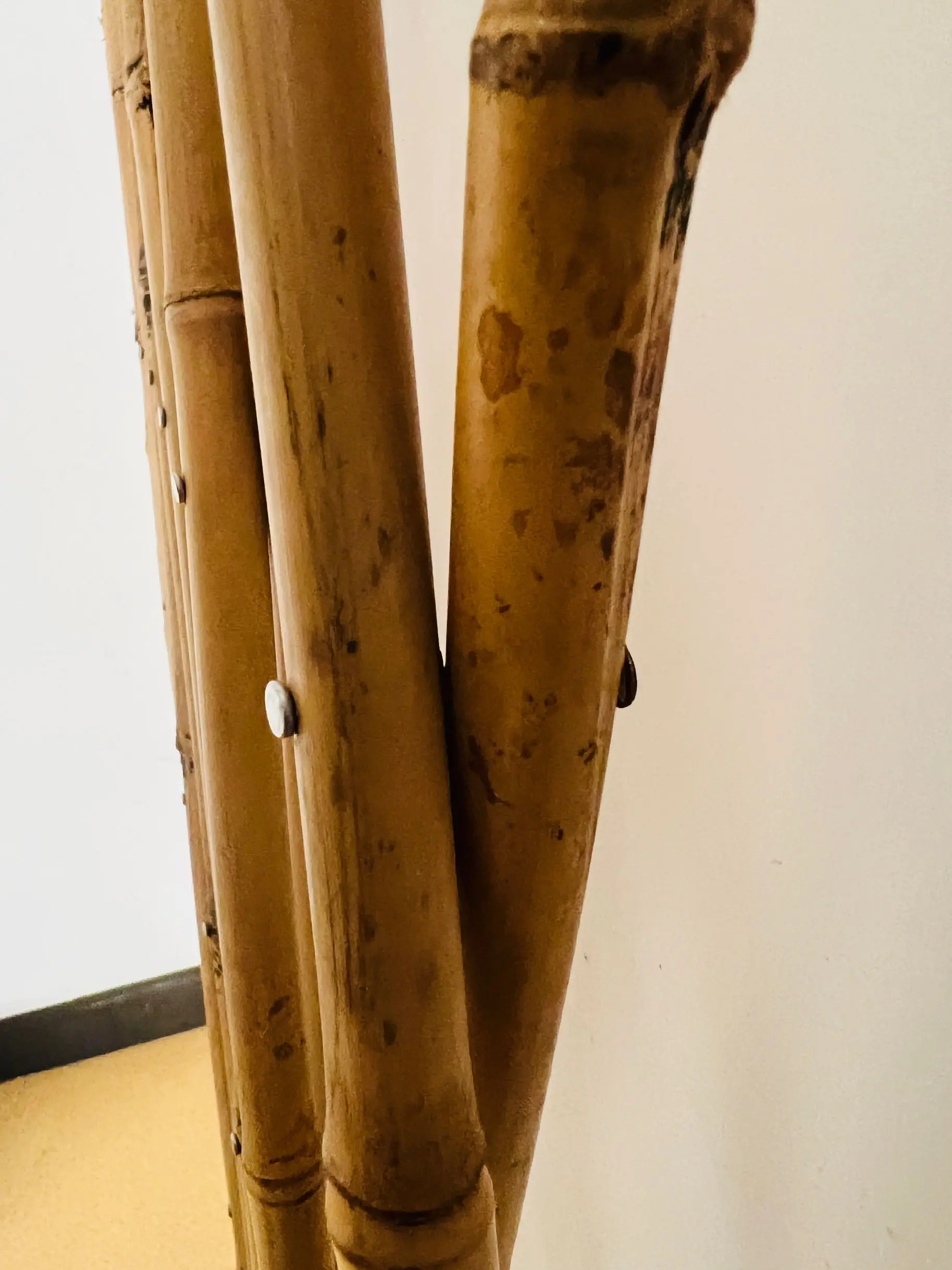 fence rose plant climbing vine bamboo flower bracket garden bamboo pole balcony telescopic bamboo