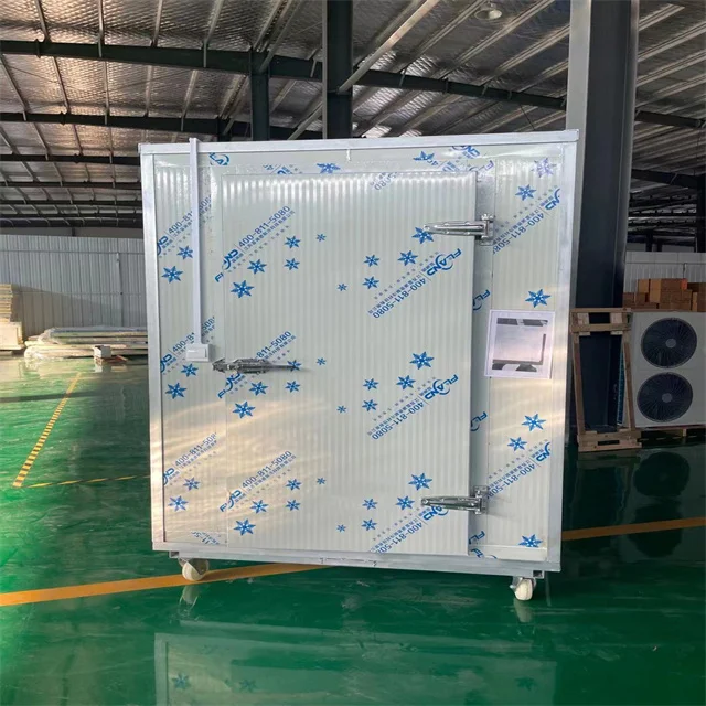 Walk in Freezers for Poultry, Chicken & Meat Cold Storage for Argentina Market