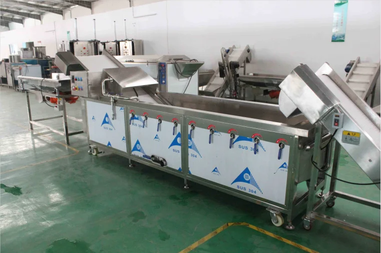 WA-2000 Vegetable And Fruit Washing Machine Bubble Cleaning Machine For Cabbage Lettuce Pepper Washer