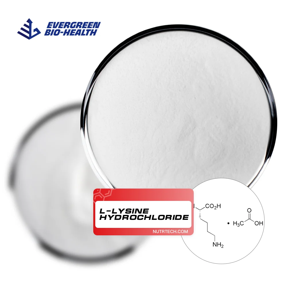 Lysine For Poultry High Purity Powder Lisina Clorhidrato L-Lysine Hydrochloride With Factory Price