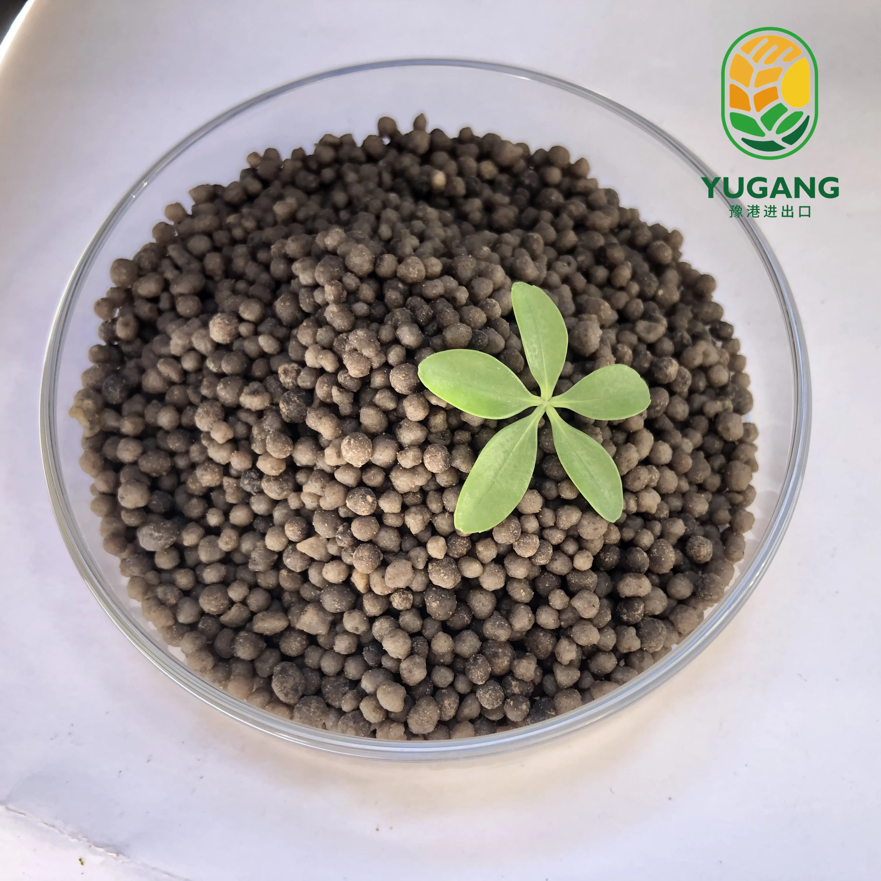 Diammonium Phosphate high quality manufacturer Dap 18-46-0  For Fertilizer Use