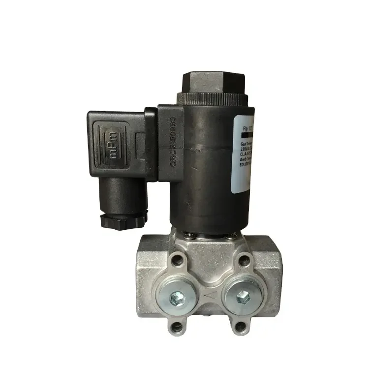 Low Pressure 15W Nature Gas Magnetic Solenoid Valves