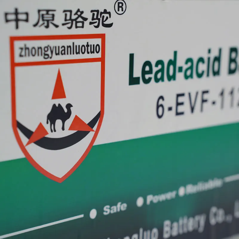 Hot Selling Wholesale 48 Volt batterie 50ah 100ah 110ah 160ah Lead acid Battery 48V 110Ah Golf Cart Batteries