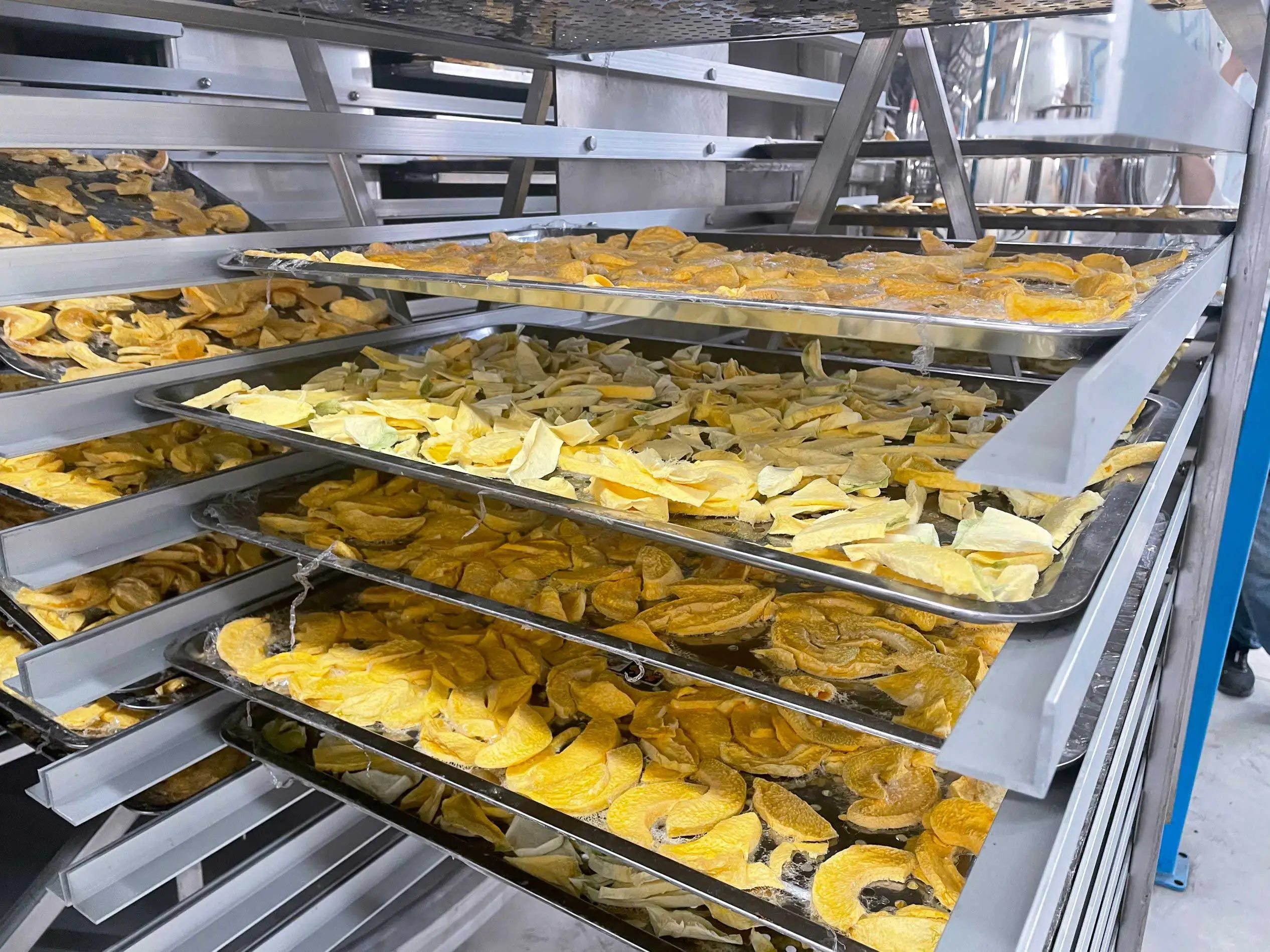 100 square large industrial pet food lyophilizer freeze dryer lyophilization equipment for sale