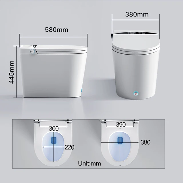Home decoration bathroom one piece smart wc intelligent toilet