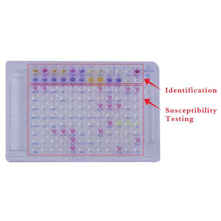 Enterococcus Test Kit Virus Infection Rapid Test Ast Card Kit Bacterial Monitoring Kit