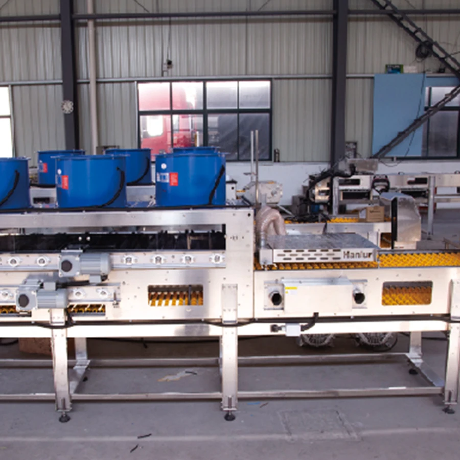 Best Sale Snail Shrimp Egg Sorting Line Automatic Machine Conveyor Belt Grading
