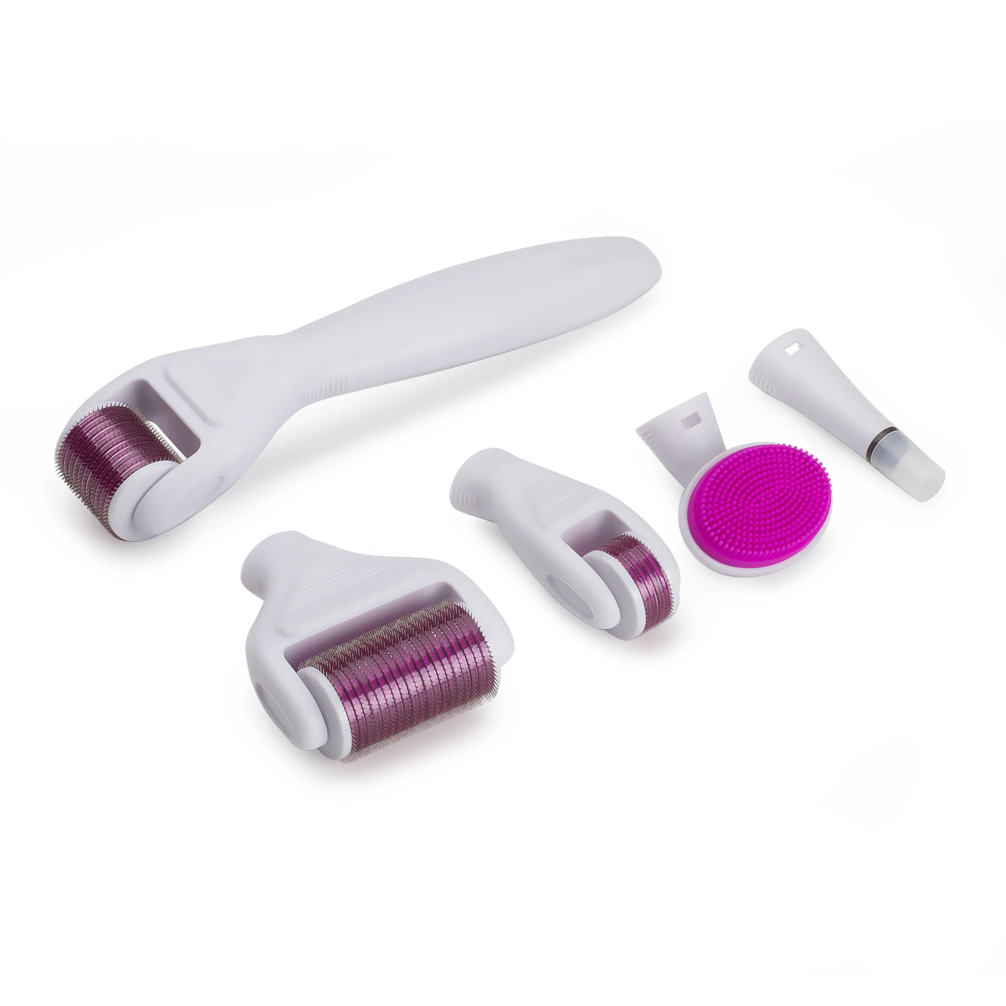 2019 best selling Beauty Equipment 6IN1 derma roller 0.5mm derma roller system
