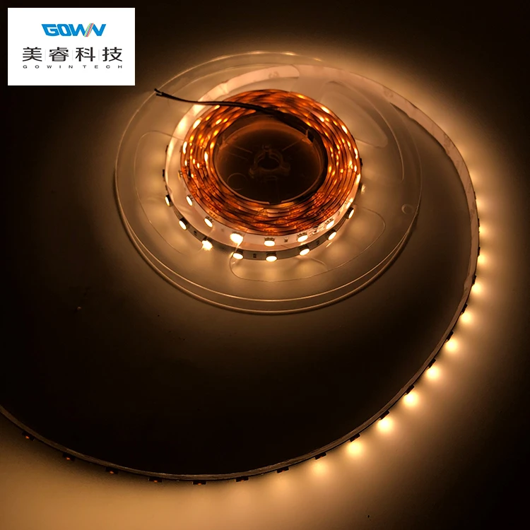 China Manufacturer High Efficiency Waterproof Flexible 12V 24V Dc SMD5050 Bright Led Tape Strip Light