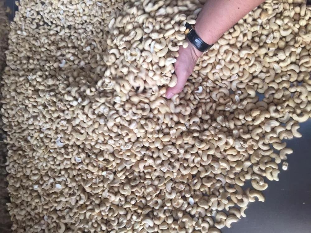
VIETNAM CASHEW NUT ORGANIC BROKEN PIECES 