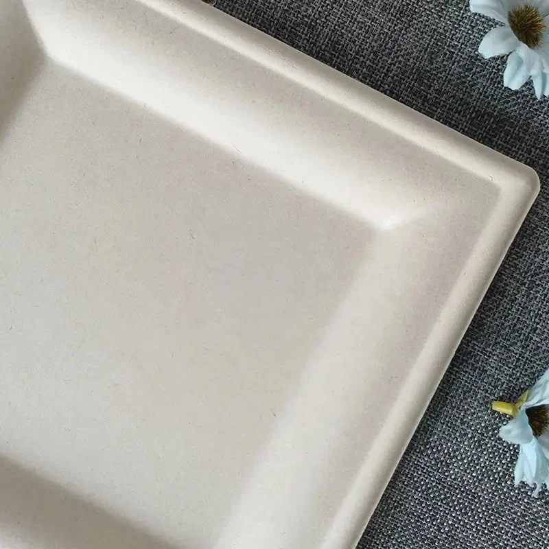 6Inch 8Inch 10Inch Square Compostable Tableware Sugarcane Bagasse Disposable Hot Plate Making Paper Plates