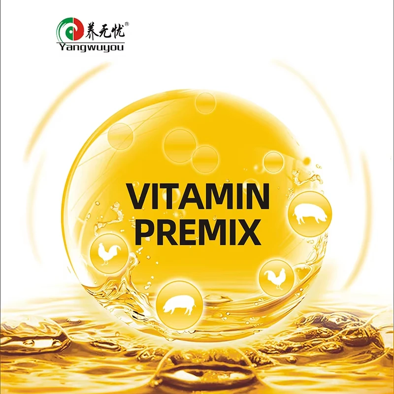Hot Sale Water-soluble Vitamin Premix for Poultry No Precipitation All Dissolved in 20 Seconds