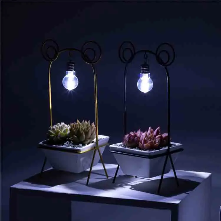 Factory Hot Sell White Ceramic Pot Frog Shape Creative Flowerpot For Desktop Ornaments