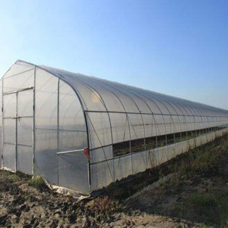 Agricultural polytunnel commercial tunnel greenhouse for mushroom tomato with hydroponic cooling system