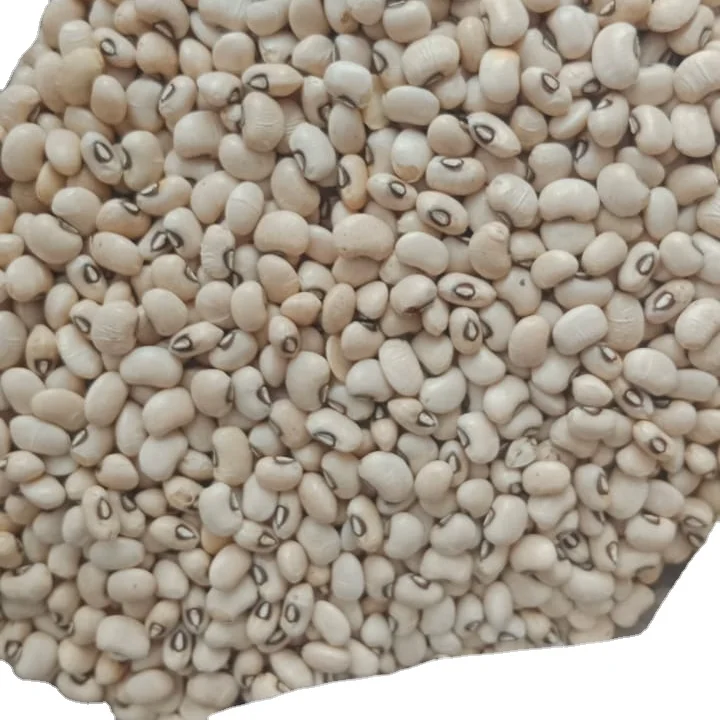 Natural Dry Light Beans Good Price Product Bulk White Brown Kidney Bean for food Brazil Origin Chawali Highest quality