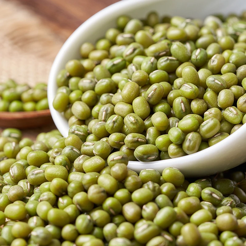 Chongqing High-quality Market Price Green Mung Beans for