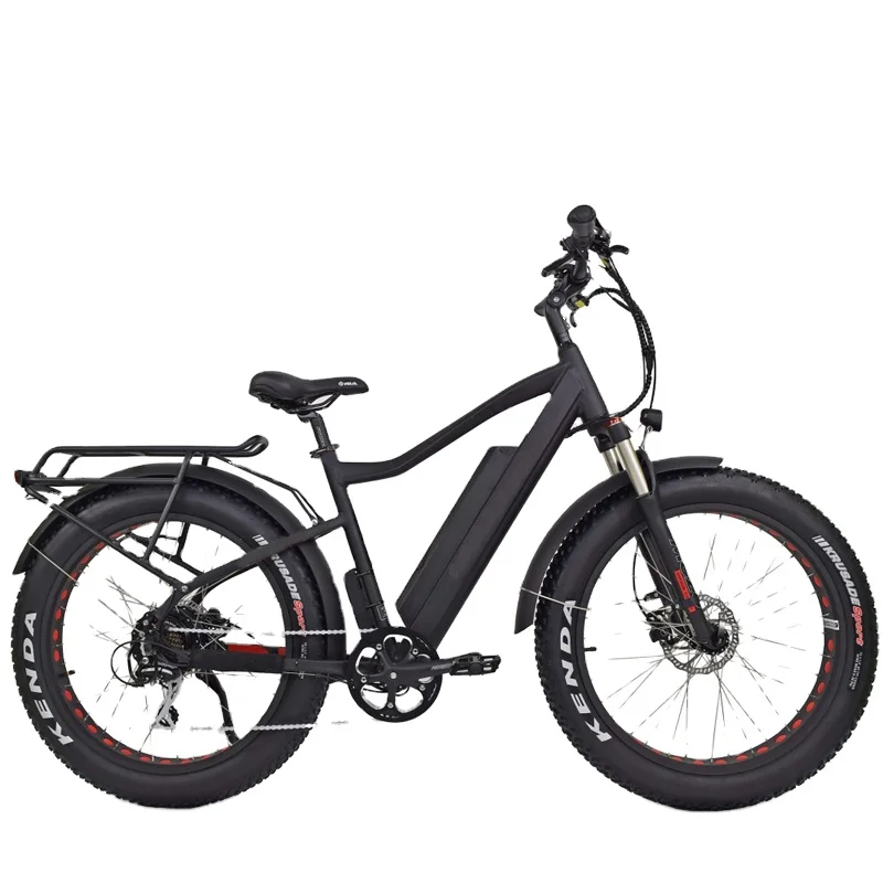750W Fat tire electric bicycle 2017 with Mozo suspension fork