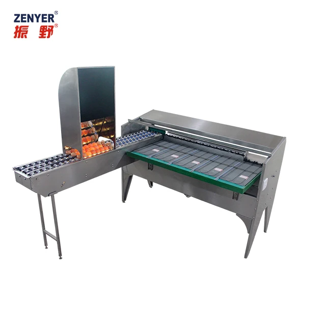 ZENYER 2022 hot sale egg grader /stainless steel egg grading  machine /egg  grade by weight