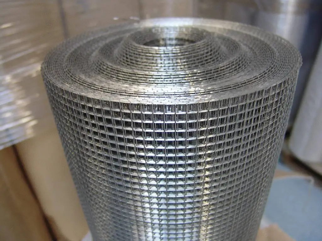 10 gauge pvc coated / galvanized bird cage welded wire mesh roll