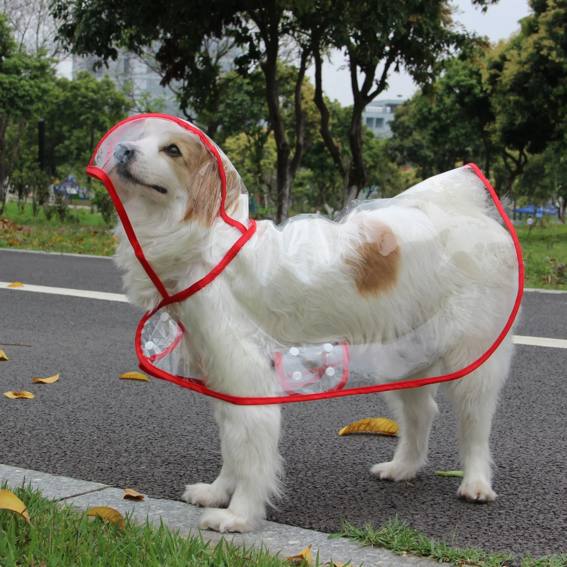 Classic Pet Raincoat Transparent Dog Rain Poncho Minimalist Waterproof Cape Durable Dog Jacket For All Size Dog