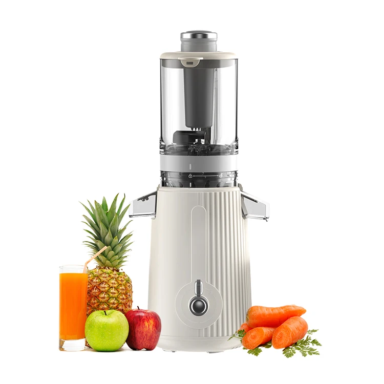 Professional 100W Easy Clean High Juice Yield Slow Juicer for Nutrient Fruits and Vegetables