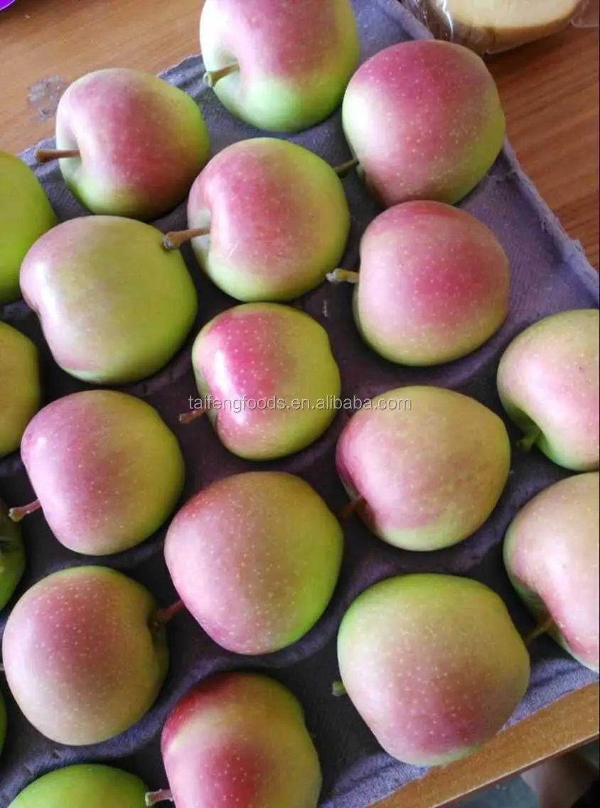 FRESH RED SWEET APPLES IMPORT WHOLESALE
