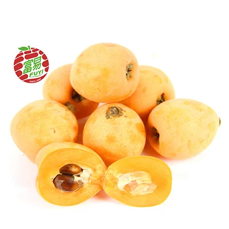 Chinese fujian putian big nutrition medicine sweet Loquat
