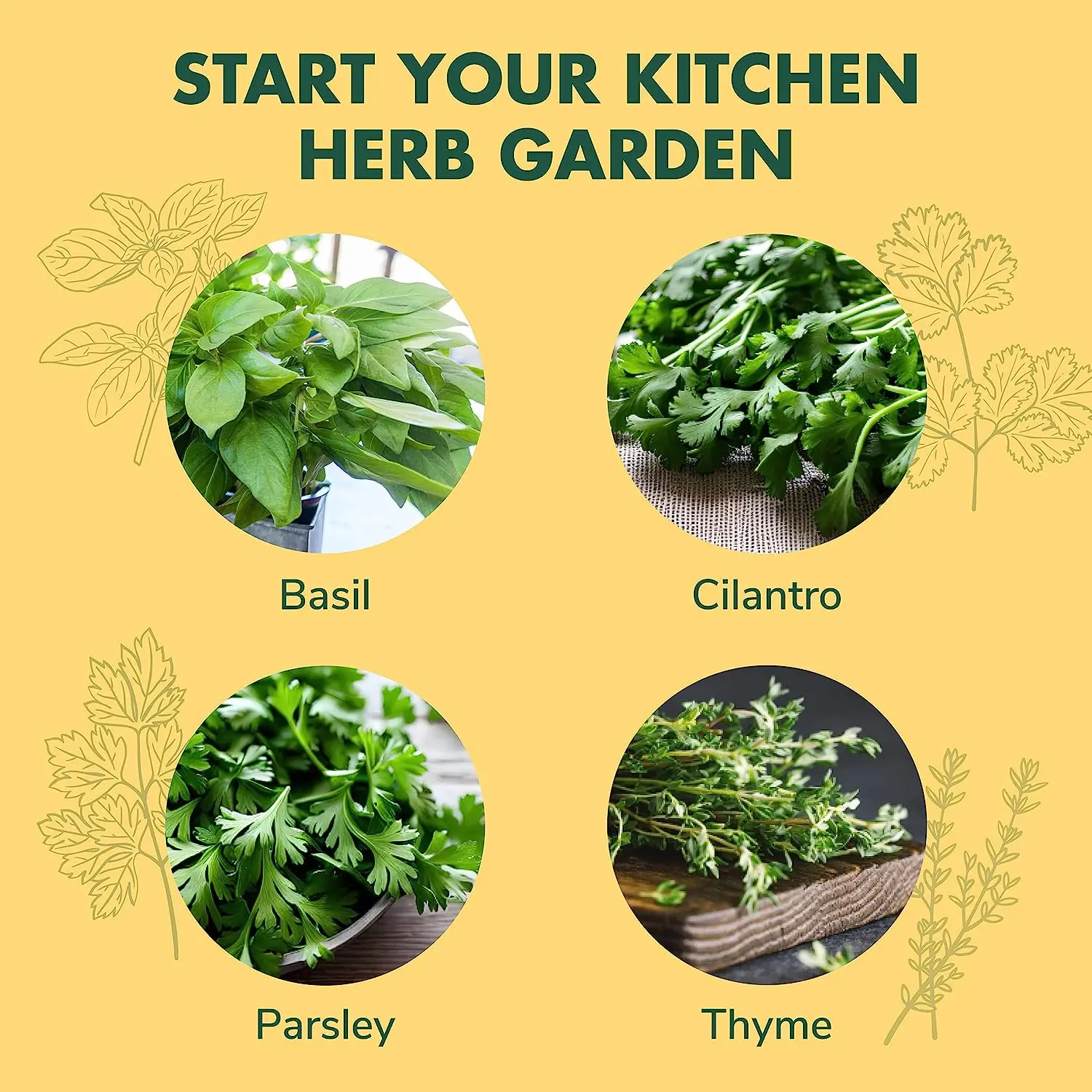 Heirloom kit garden Non-GMO Basil Thyme Parsley Cilantro Herb DIY Grow Kits Indoor Herb Garden Starter Kit for Beginner