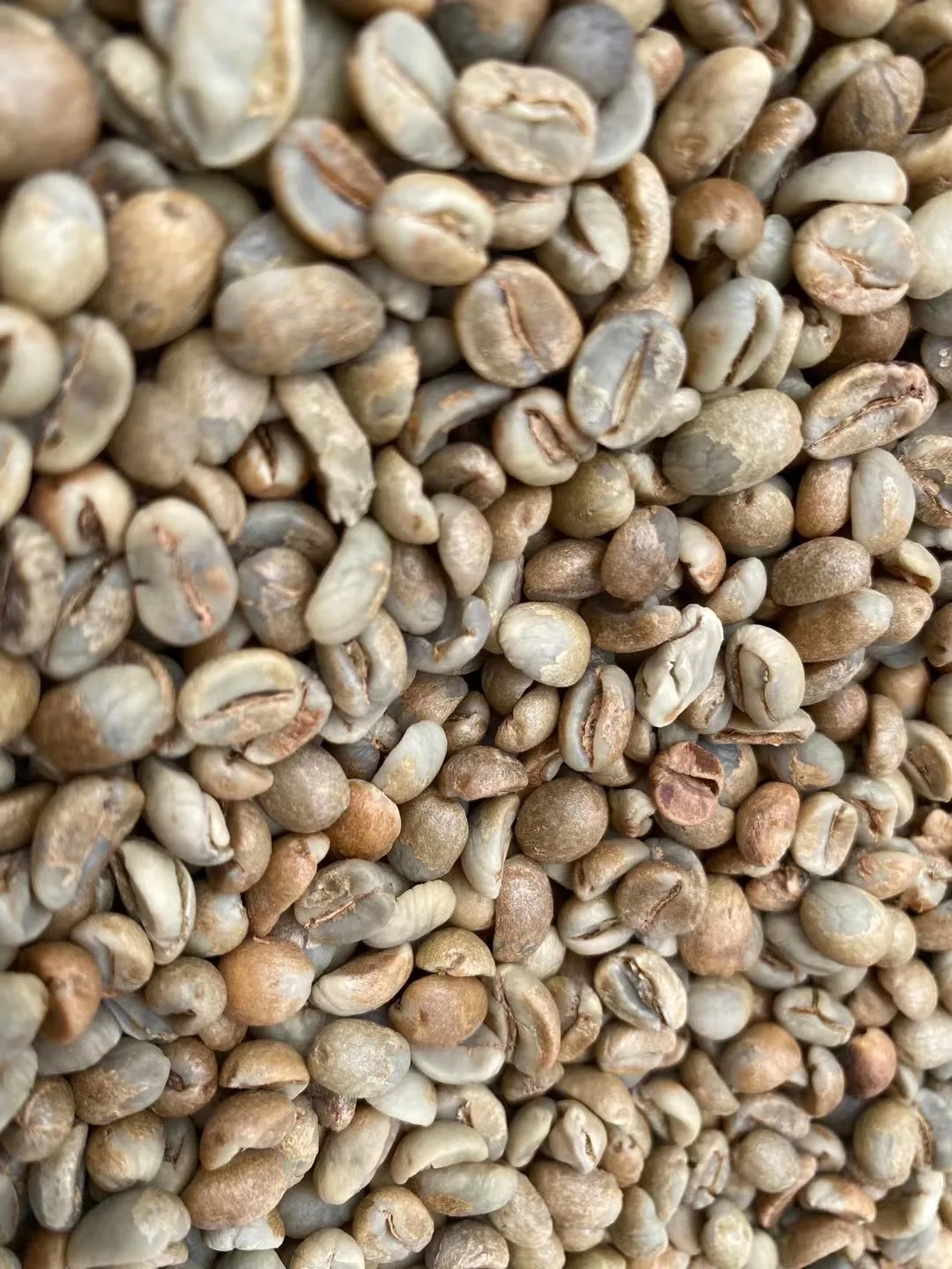 100% Robusta 250g Dark Roasted Coffee Beans From China 1kg/500g/250g coffee bag