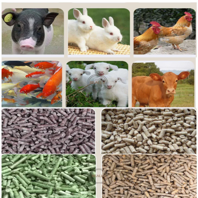 Multifunctional Pet Pellet Granulator Machines Low Price Commercial Farm  Chicken Dog Cat Food Feed Pellet Making Machine