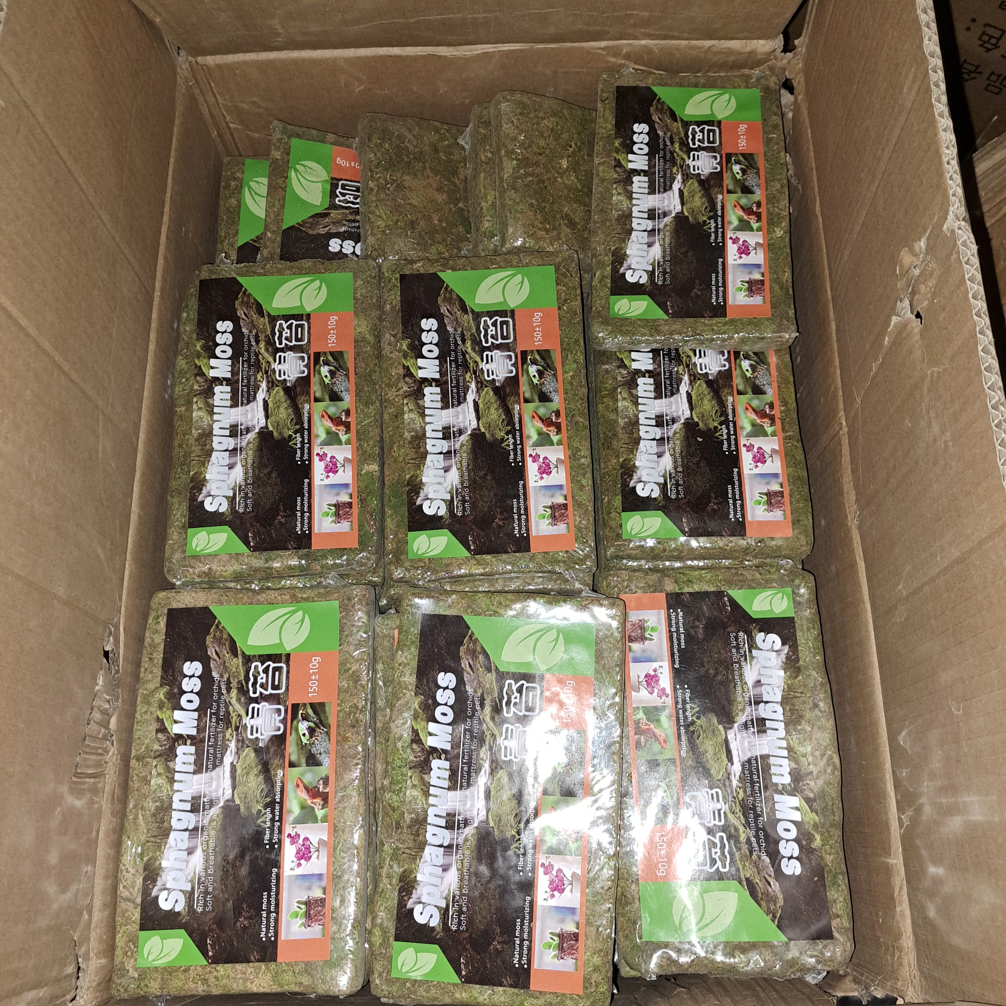 150grams Natural Dried Green Sphagnum Moss for Plants Orchid Repoting Carnivorous Flowers Crafts Terrarium and Reptiles