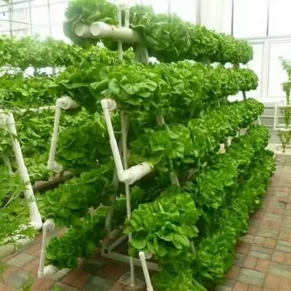 
Hydroponics Nft System ,Vertical Hydroponic Growing Systems PVC Tube Plant Vegetable 