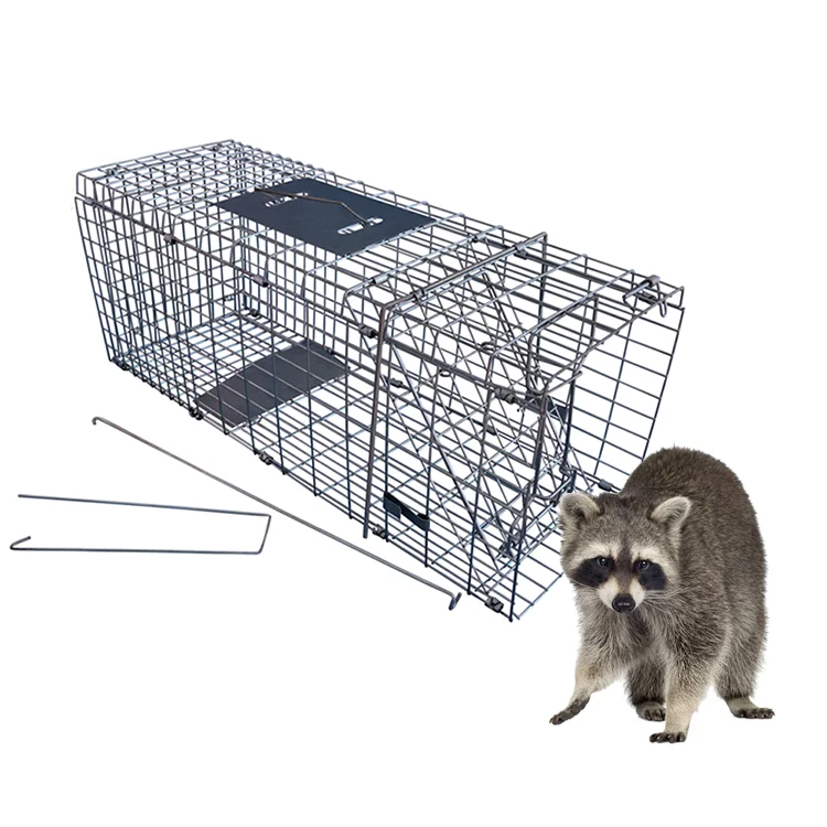 Buy Galvanized Stray Feral Cat Raccoon Living Animal Traps Cage For Sale