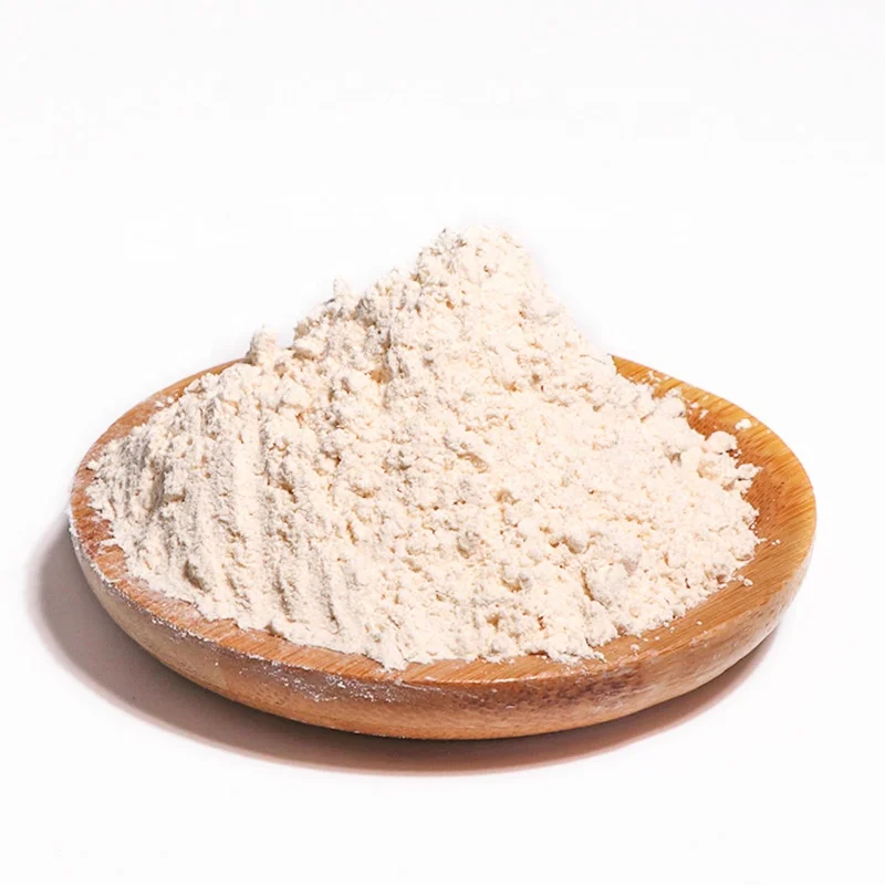 
Pure Air dried Garlic Powder 100-120 Mesh Air Dried Vegetables 