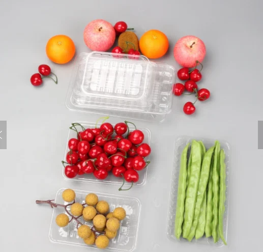 Automatic PC PETG HIPS PVC tray blister container Vacuum Forming Machine with CE