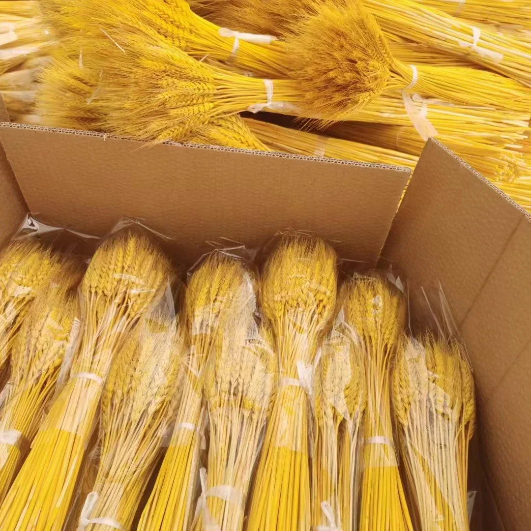 Dried Flowers Natural Wheat Straw Colorful Simulation Flower for Home Dining Art Wedding