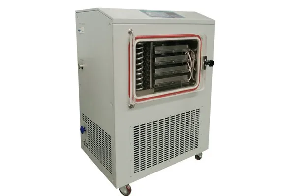 Factory mini freeze dryer lyophilizer for food industry lab type home use