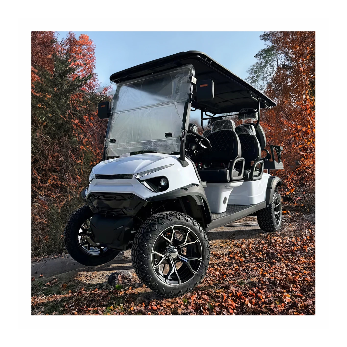 Wholesale Customizable 72 Volt Electric Golf Carts With Cheap Price